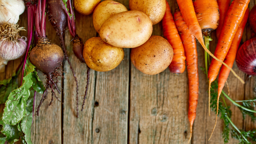 Seasonal Series: Cooking with Root Vegetables 2/22/2025